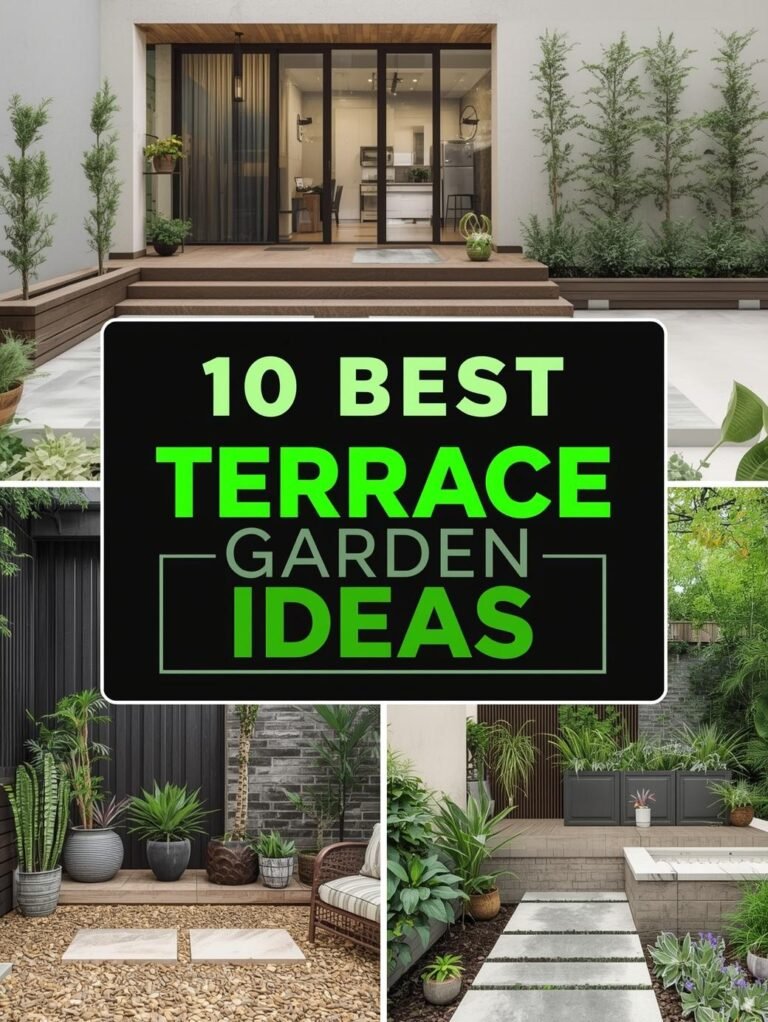 10 Best Terrace Garden Ideas